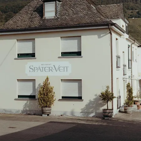 Weingut Spaeter-veit 宾馆 *