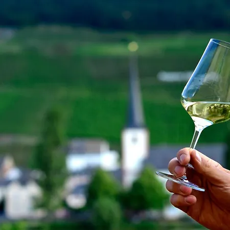 宾馆 Weingut Spaeter-veit