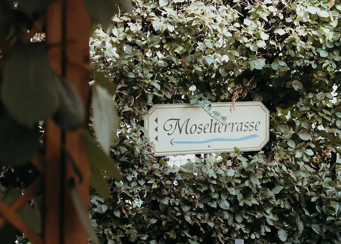 Weingut Später-veit Gasthof Piesport