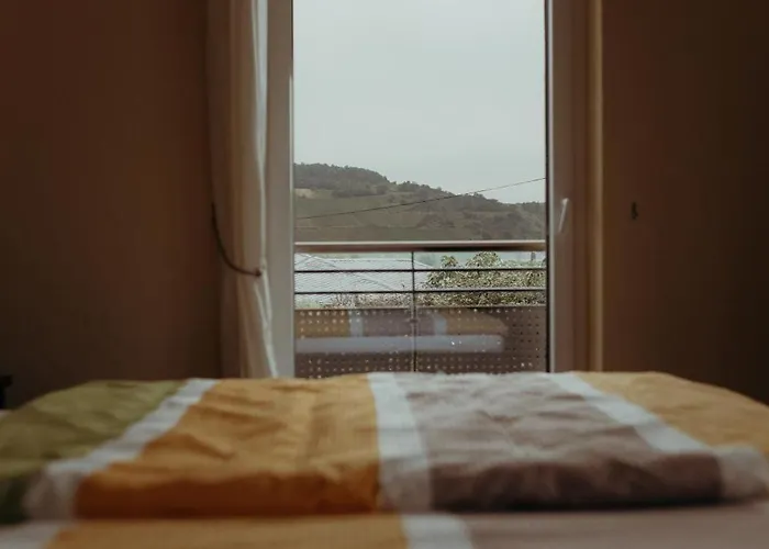 Weingut Später-veit Piesport