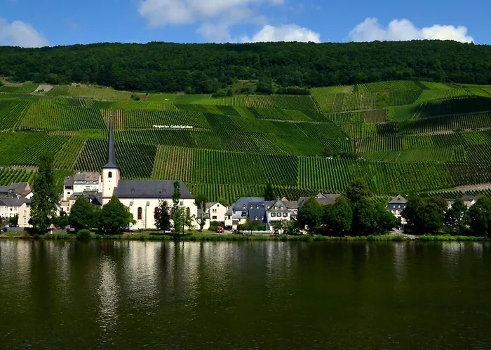 Gasthof Weingut Später-veit