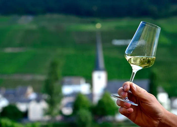 Gasthof Weingut Später-veit